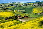 Ferme et vignoble, Montalcino, Val d'Orcia, Province de Sienne, Toscane, Italie