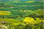 La vallée et les maisons, Montalcino, Val d'Orcia, Province de Sienne, Toscane, Italie