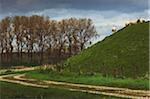 Sheep on Mound