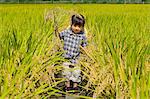 Children walking in a rice field