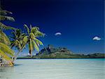 Bora Bora island with palm trees