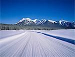 Snow covered road