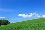 Wheat field and clouds in Hokkaido