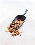 Homemade muesli with dried cranberries on a scoop