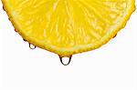 A dripping lemon slice