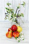 Fresh apples and sprigs of apple blossom