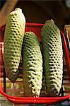 Monstera Deliciosa in a Red Wire Basket at a Farmer's Market