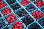 Baskets of Organic Blueberries, Raspberries and Blackberries at a Market