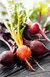 Fresh Red and Golden Beets