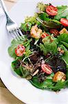 Spinach and Mixed Green Salad with Croutons and Tomatoes