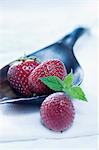 Frische Erdbeeren