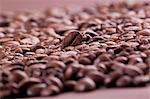 French Roast Whole Coffee Beans