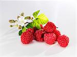 Himbeeren mit Blättern und Blüten