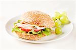 Turkey Sandwich on a Sesame Seed Bun with Green Grapes