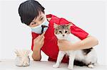 Female veterinarian examining cat's ear with an otoscope device against gray background