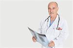 Porträt des leitenden männlichen Arzt halten Röntgen über grauen Hintergrund