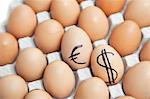 Dollar and euro sign on eggs surrounded by plain brown eggs in carton