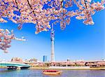 Tokyo Sky Tree, Tokio, Japan