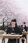 High School Mädchen studieren unter einen Kirschenbaum