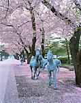 Sakura, Towada, Aomori Prefecture, Japan