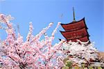 Five-Storied Pagoda, Miyajima, Itsukushima, Japan