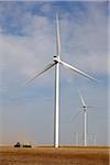 Wind Turbines in Field, Colorado, USA