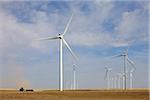 Éoliennes en champ, Colorado, USA