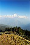 Dhaulagiri Himal vue de Poon Hill, Annapurna Conservation Area, District de Mustang, Dhaulagiri, Pashchimanchal, Népal