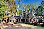Jungle dépasse l'ancien temple Ta Prohm près de Siem Reap, Cambodge
