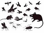 Insectes et animaux nuisibles