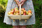 woman wearing a dress with a trug of fresh apples