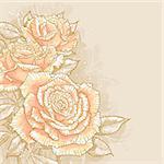 The contour drawing pink roses with leaves on toned background. Watercolor style. Can be used as background for invitation cards.