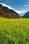 Grünen Weiden rund um den Bauernhof in der Schweiz