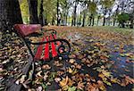 A red bench in the park in autumn