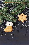 Biscuits de pain d'épices de Noël et épinette branche avec de la neige.