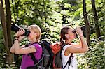 jeunes trekking parmi les arbres et en regardant les oiseaux avec des jumelles. Forme horizontale, vue latérale, taille vers le haut