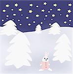 A rabbit  that stand between     snow covered spruce trees.