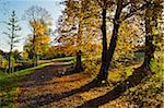 Parc de la ville, Schwenningen, Villingen-Schwenningen, Schwarzwald-Baar, forêt noire, Bade-Wurtemberg, Allemagne