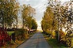 Route de campagne en automne, près de Villingen-Schwenningen, Bade-Wurtemberg, Allemagne