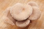 Eringi mushrooms