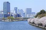 Fleurs de la cerise et le pont de Tenjin à Okawa river, Osaka