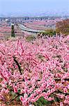 Fuefuki, Yamanashi Prefecture