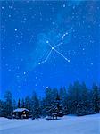 Cygnus constellation in the snowy Switzerland