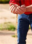 Farmer pouring handful of barley seeds