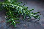 Close up of rosemary leaves