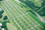 Aerial view of rural fields