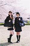 Japanische Schulmädchen in ihren Uniformen mit Kirschblüten im Hintergrund
