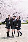 Japanische Schulmädchen in ihren Uniformen mit Kirschblüten im Hintergrund