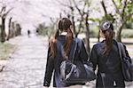 Japanese schoolgirls walking away in their uniforms