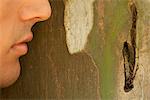 Man's face leaning against tree bark